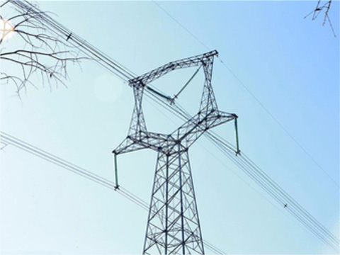 welcome海洋之神(集团)有限公司